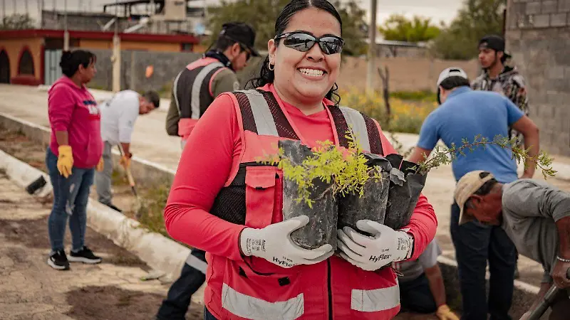 Reforestación en Mazapil apuesta por la biodiversidad